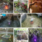 🔥Pompe à fontaine avec lumières LED colorées✨