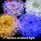 🎅Vente de Noël 50% de réduction🎄Guirlande Lumineuse Décorative de Noël pour les Fenêtres