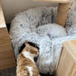 Lit tunnel rond souple pliable 2 en 1 pour chat d'intérieur