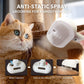 Brosse à pulvérisation pour chat