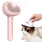 Brosse à pulvérisation pour chat